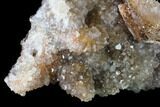 Quartz Crystal Geode Section - Morocco #136928-2